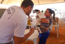 Serviços gratuitos atraem público em edição do GDF Mais Perto do Cidadão no Riacho Fundo II Cadastro para castração e vacinação de animais foram serviços ofertados nos dois dias de evento | Fotos: Joel Rodrigues/Agência Brasília