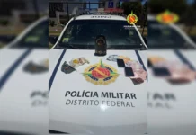 DF: Ao ser abordada pela PM, Mulher arremessa bolsa no Lago Paranoá