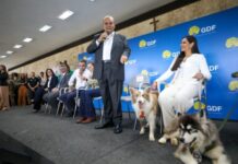DF lança programa inédito de apoio a protetores e abrigos de animais
