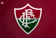 Por Raimundo Ribeiro