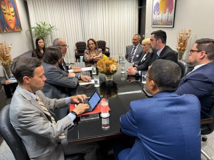 Damares Alves em reunião com membros do Itamaraty Foto: Divulgação