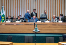 (Foto: Andressa Anholete/Agência CLDF)