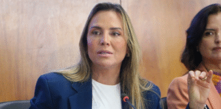 Celina Leão - Foto: Renato Alves/Agência Brasília