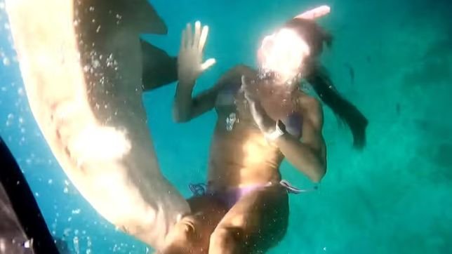 WhatsApp Image 2025-12-15 at 11.29.12