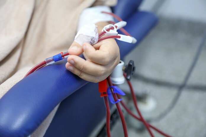 55092509601_661bc6cae5_c