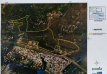 Celina cria Parque da Serrinha e reforça proteção ambiental no Lago Norte