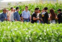 GO: Governador Daniel Vilela destaca investimentos para diversificação econômica e turismo rural em Goiás Durante a Tecnoshow, em Rio Verde, o governador Daniel Vilela entrega benefícios para impulsionar o desenvolvimento do setor rural (Foto: Júnior Guimarães e Rômulo Carvalho)