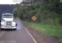 Vídeo mostra como foi a colisão frontal entre caminhões que deixou 4 mortos