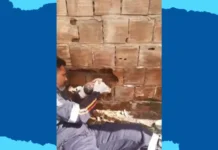 Morte de recém-nascido resgatado vivo dentro de parede passa a ser investigada como infanticídio! Assista o vídeo do resgate