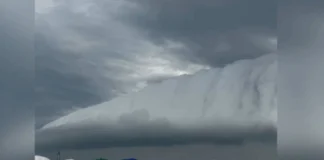 Foto: Reprodução/Vídeo Redes Sociais