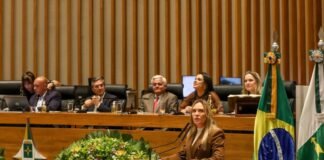 Celina Leão: “É uma carreira formada por homens e mulheres dedicados, que trabalham diariamente para garantir direitos e acolher a população" (Fotos: Joel Rodrigues/Agência Brasília)