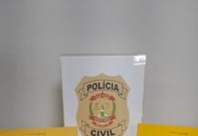 PCDF prende em flagrante mulher por tráfico internacional de arma de fogo, na Rodoviária de Brasília