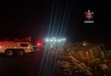 Caminhão carregado com suínos tomba na BR-020, em Planaltina, e mobiliza grande operação do Corpo de Bombeiros