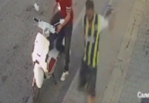 Vídeo: Crueldade, Homem é preso após chutar Gato “de bicuda” sem qualquer motivo! Malvadeza