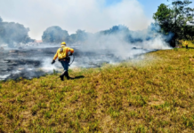 CBMDF registra 46 incêndios em vegetação no DF até as 18h de sábado